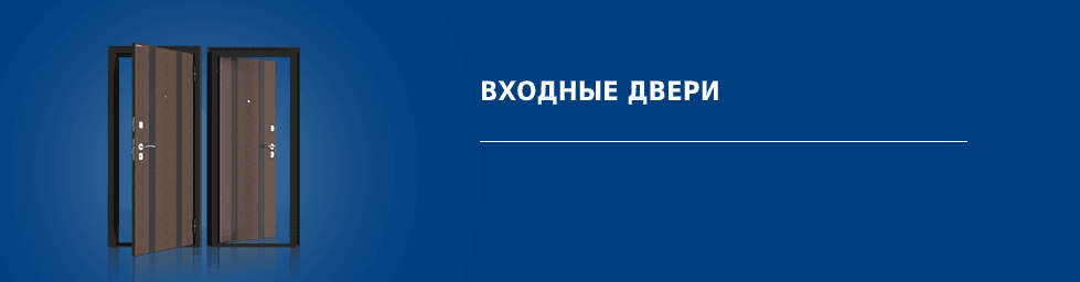 входные двери в воронеже недорого